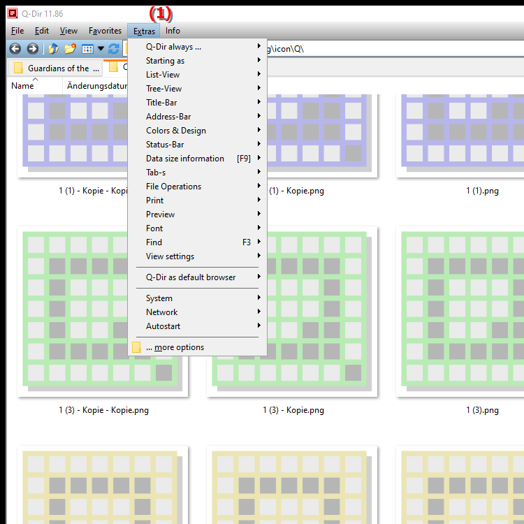Where can I find the advanced settings in Quad File Explorer